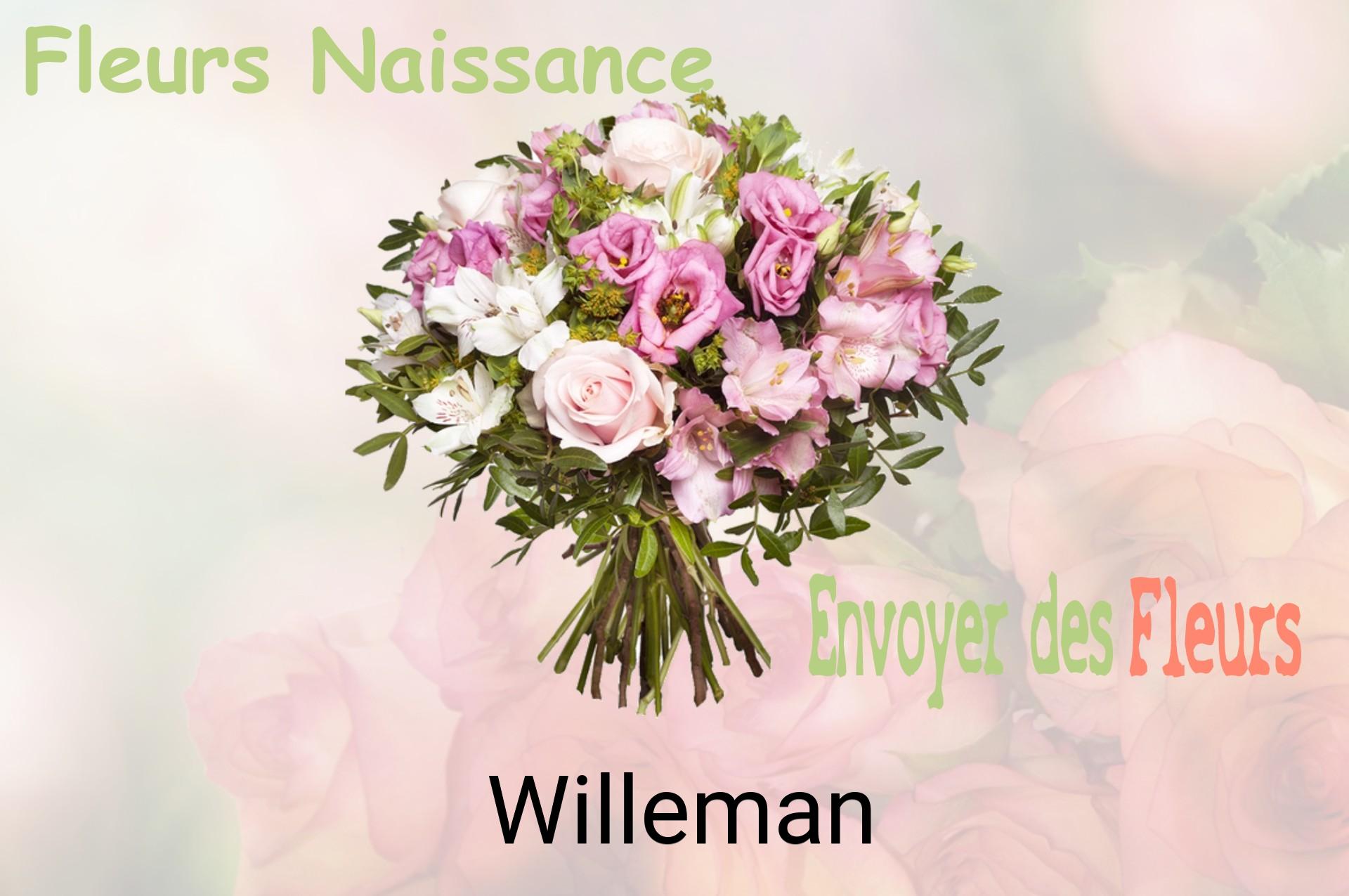 Bouquet de fleurs de naissance livré à Willeman
